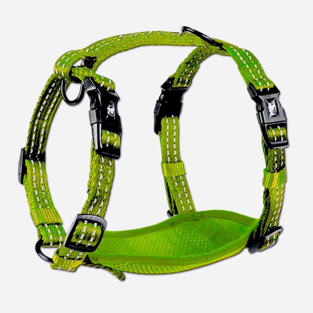 Adventure Dog Harness with Reflective Stitching & Mesh Padding By Alcott (Med)